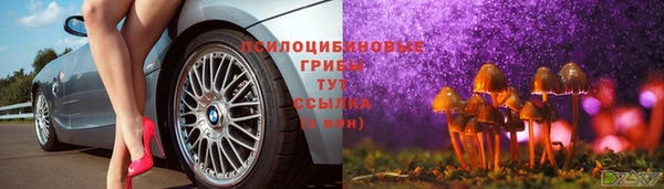 ГАЛЛЮЦИНОГЕННЫЕ ГРИБЫ Абинск